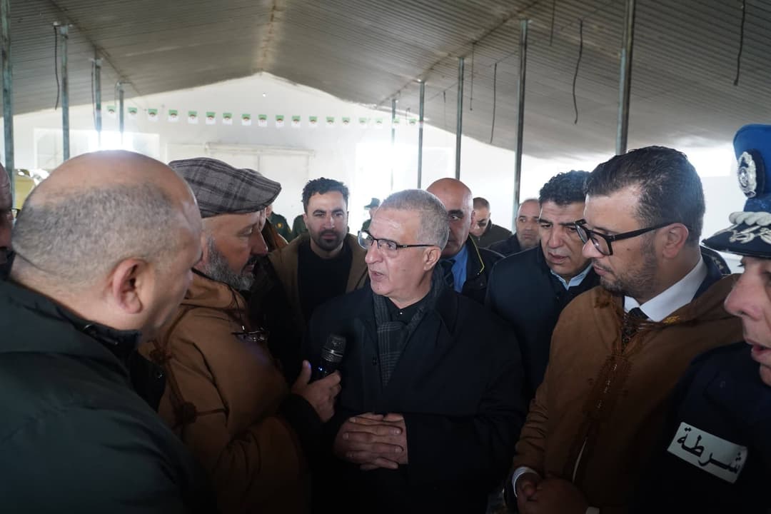 تحديد 10 نقاط لبيع أضاحي العيد المستوردة 