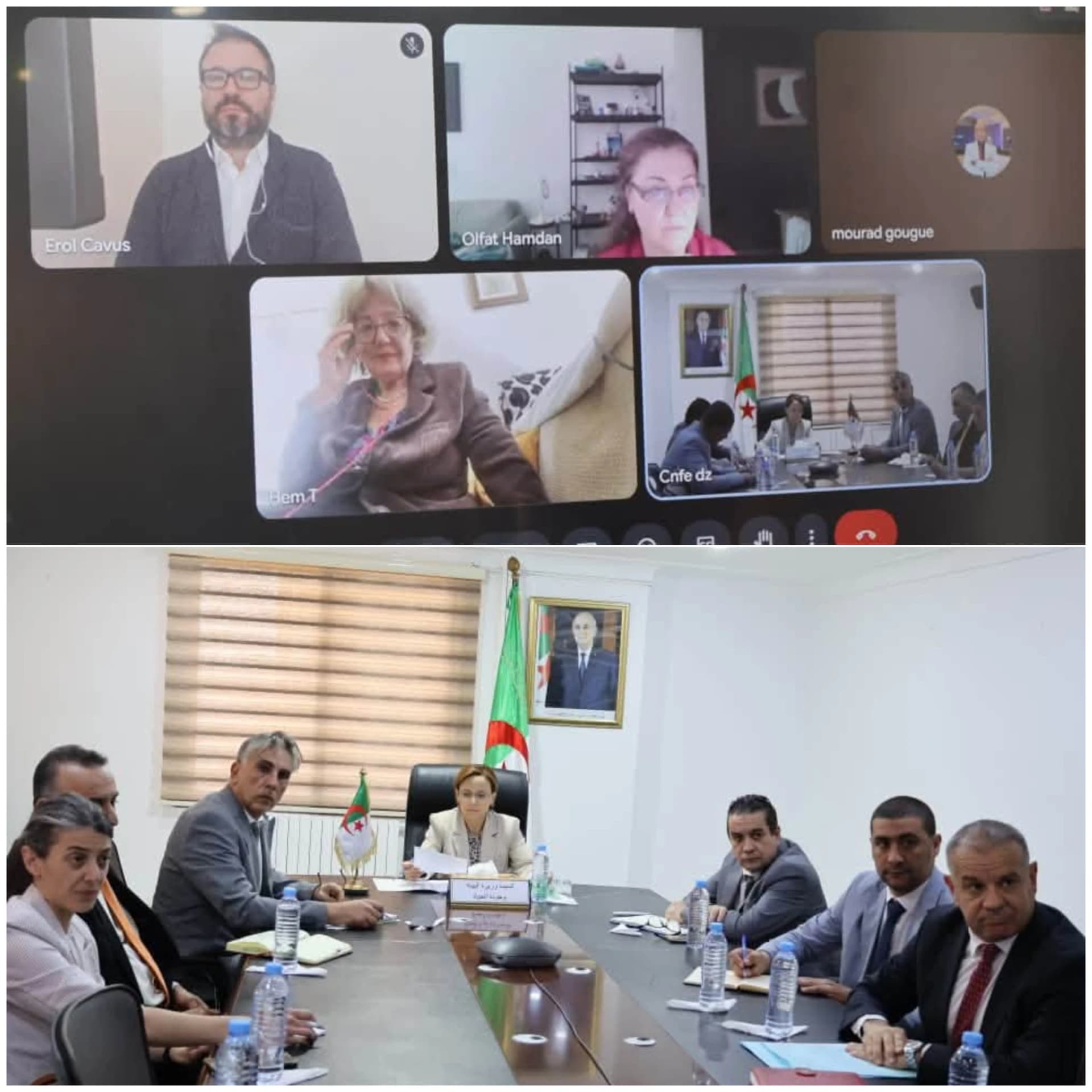 البيئة