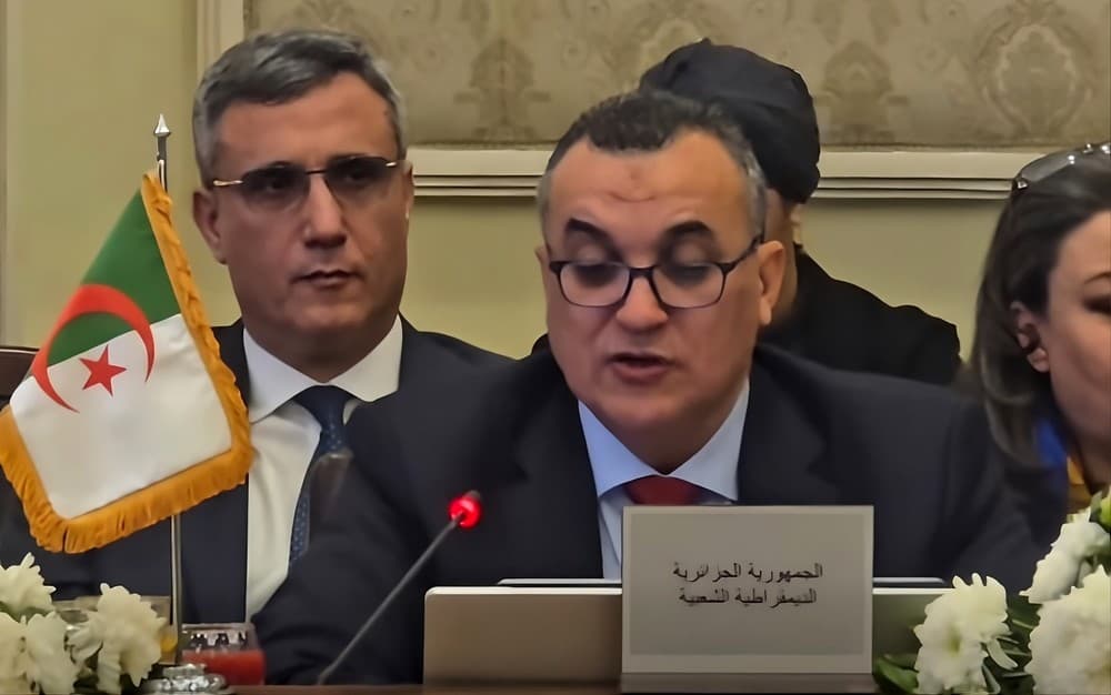 زروقي يشارك بالقاهرة في أشغال الدورة ال29 لمجلس الوزراء العرب للاتصالات والمعلومات