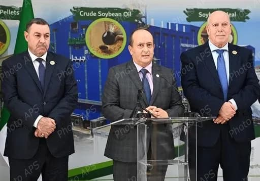 الوزير الأول, السيد سيفي غريب