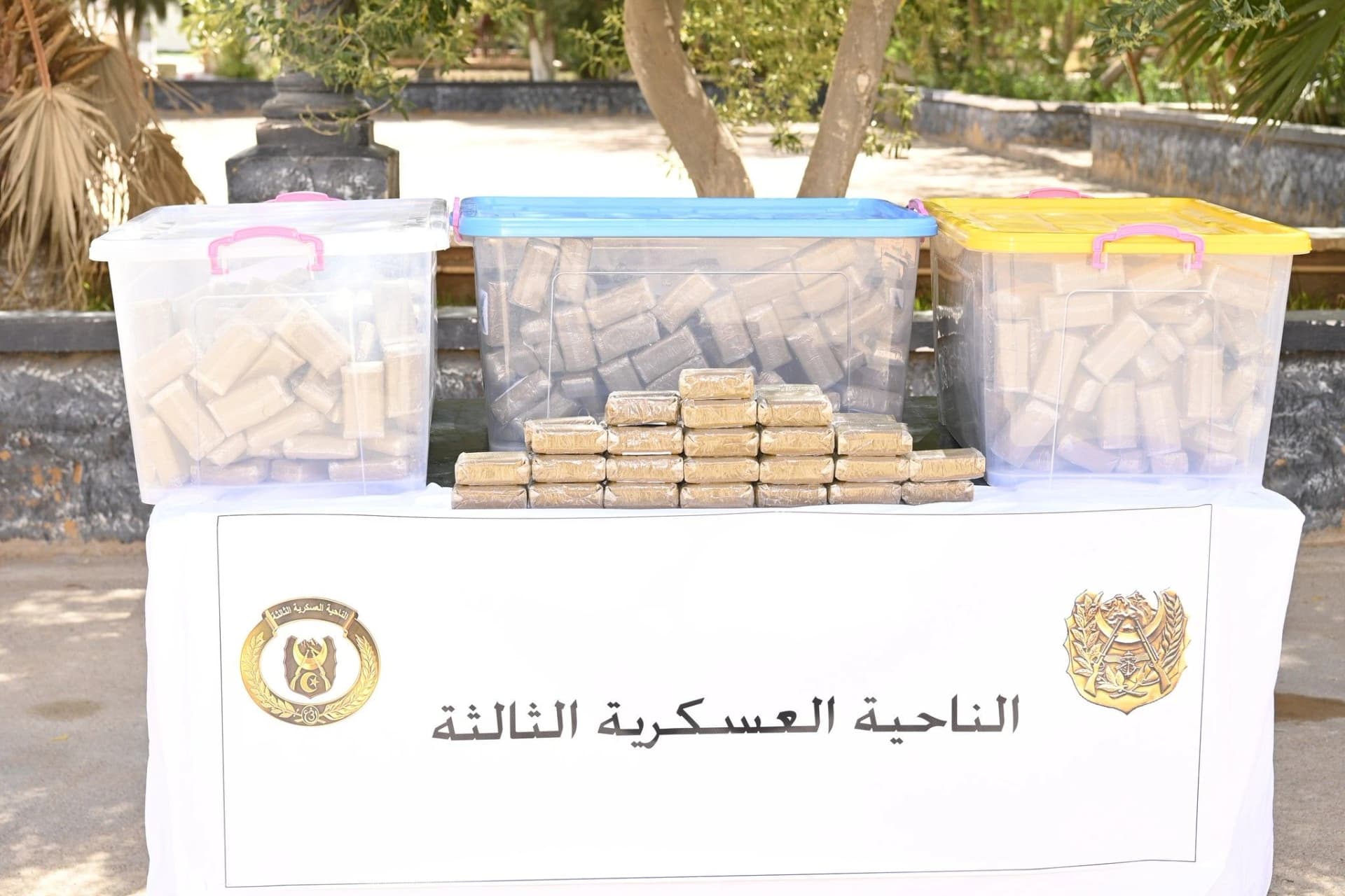 الجيش الوطني الشعبي