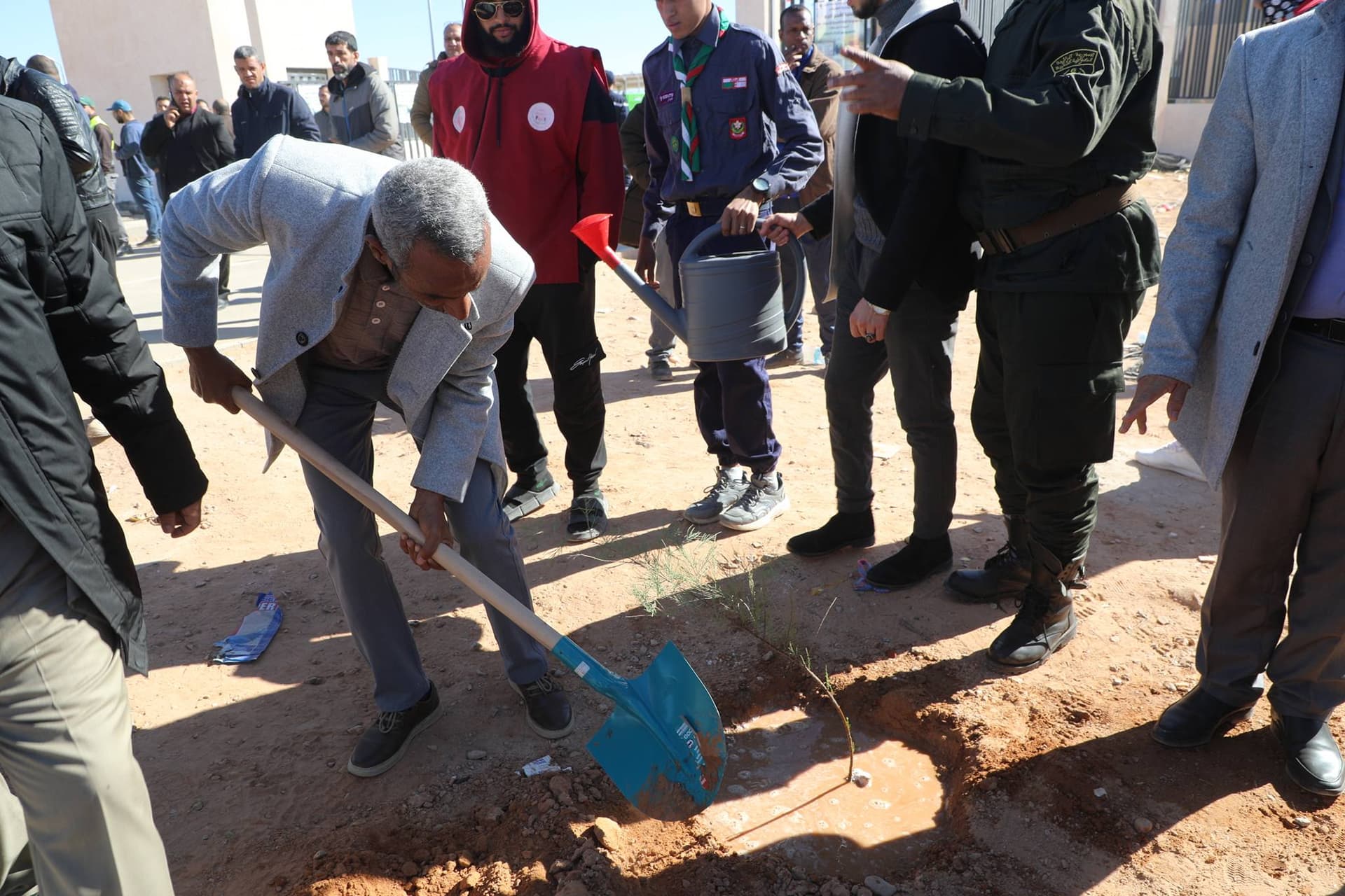 وزارة الشباب تواصل حملة التشجير الكبرى على خط السكة الحديدية بشار- تندوف - غارا جبيلات