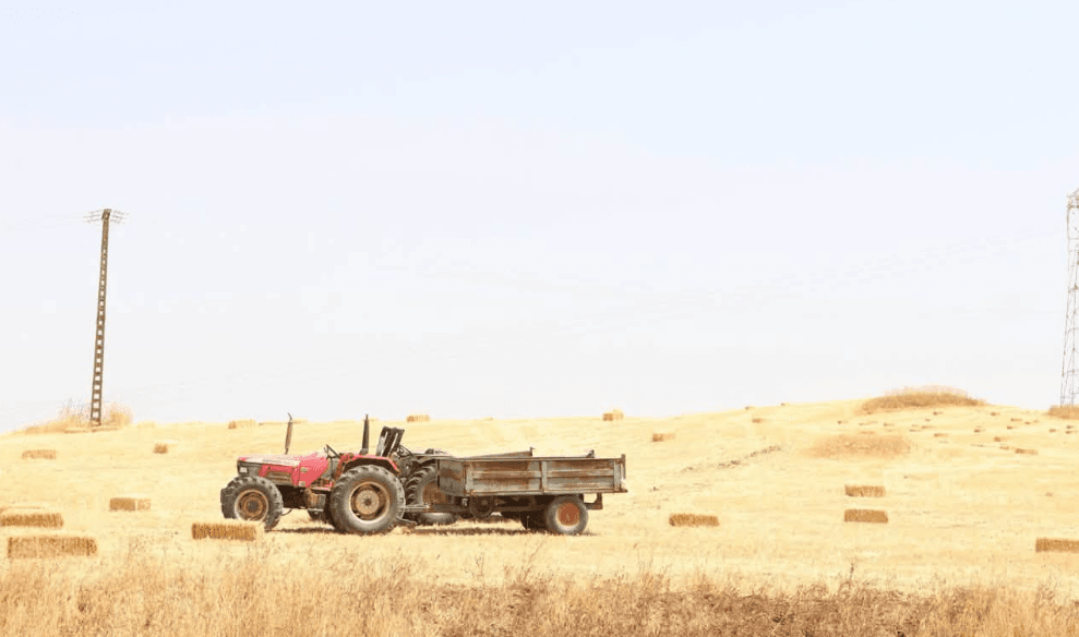 حملة الحصاد والدرس: تدابير ميدانية ساهمت في ضمان السير الحسن للعملية (وزارة)