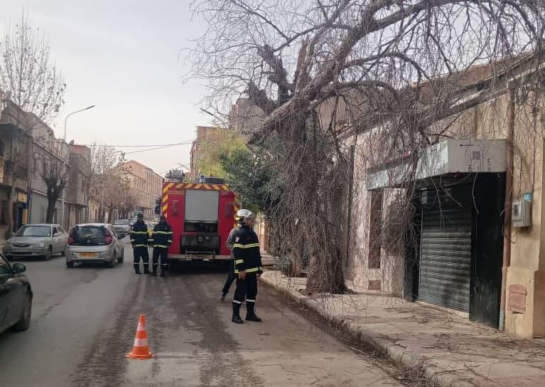 هبوب رياح قوية: عدة تدخلات للحماية المدنية دون تسجيل خسائر