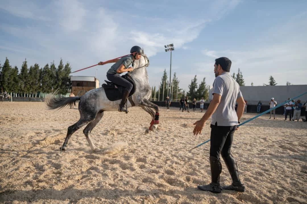 مهرجان سيرتا للفروسية