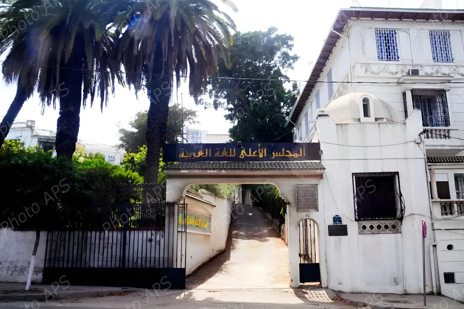 المجلس الأعلى للغة العربية يحتفي باليوم العالمي للشعر
