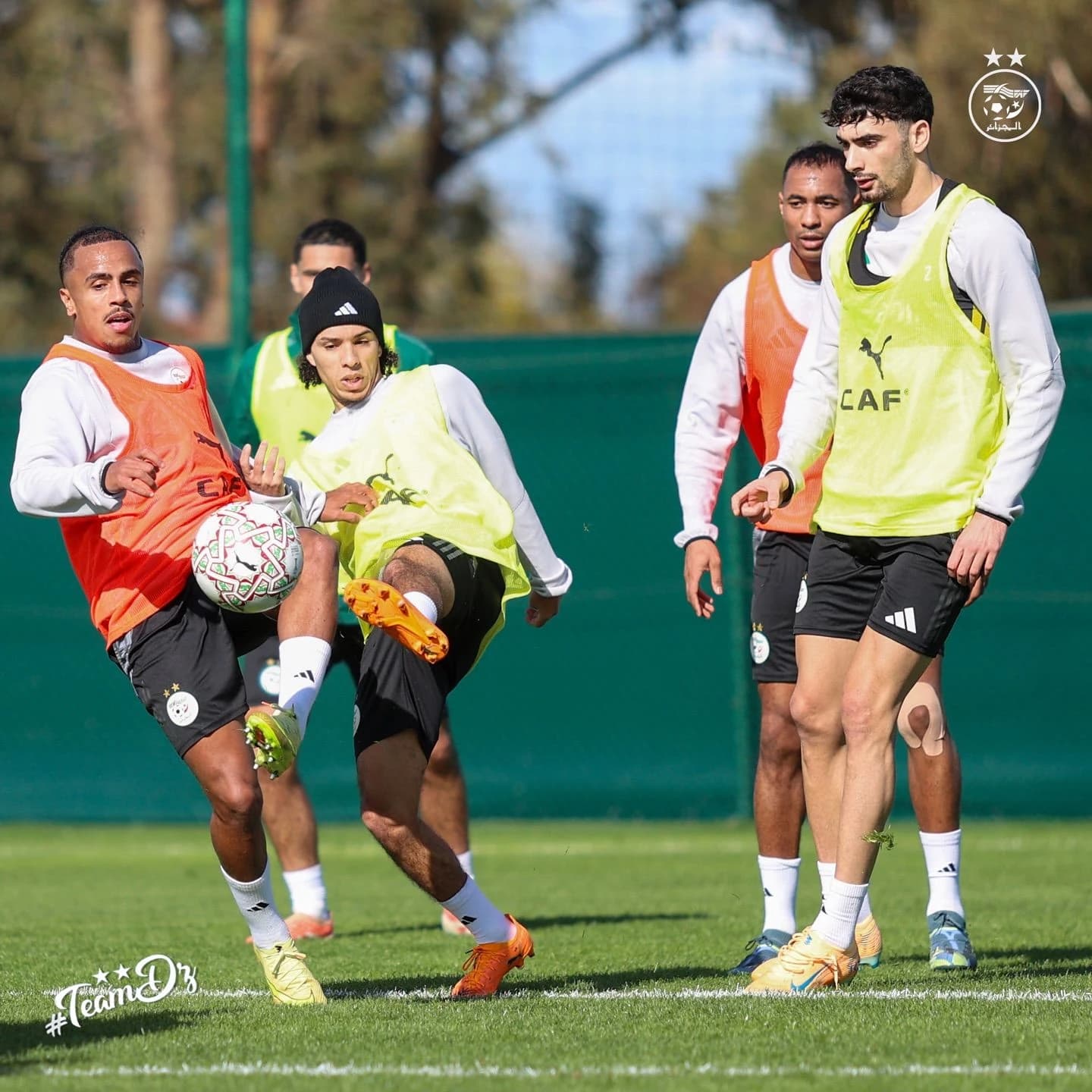 كأس افريقيا للأمم 2025:   المنتخب الوطني يباشر تحضيراته لمواجهة نظيره البوركينابي 