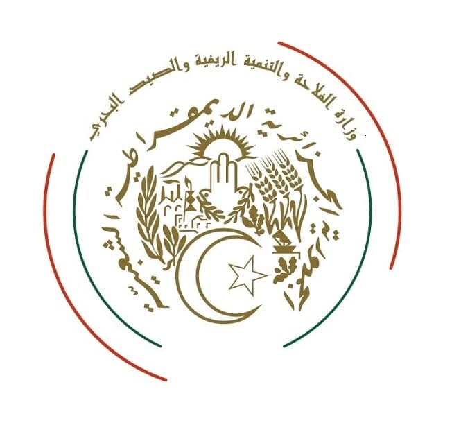 عدد المواشي المستوردة بلغ مليون رأس (المنصة الرقمية)