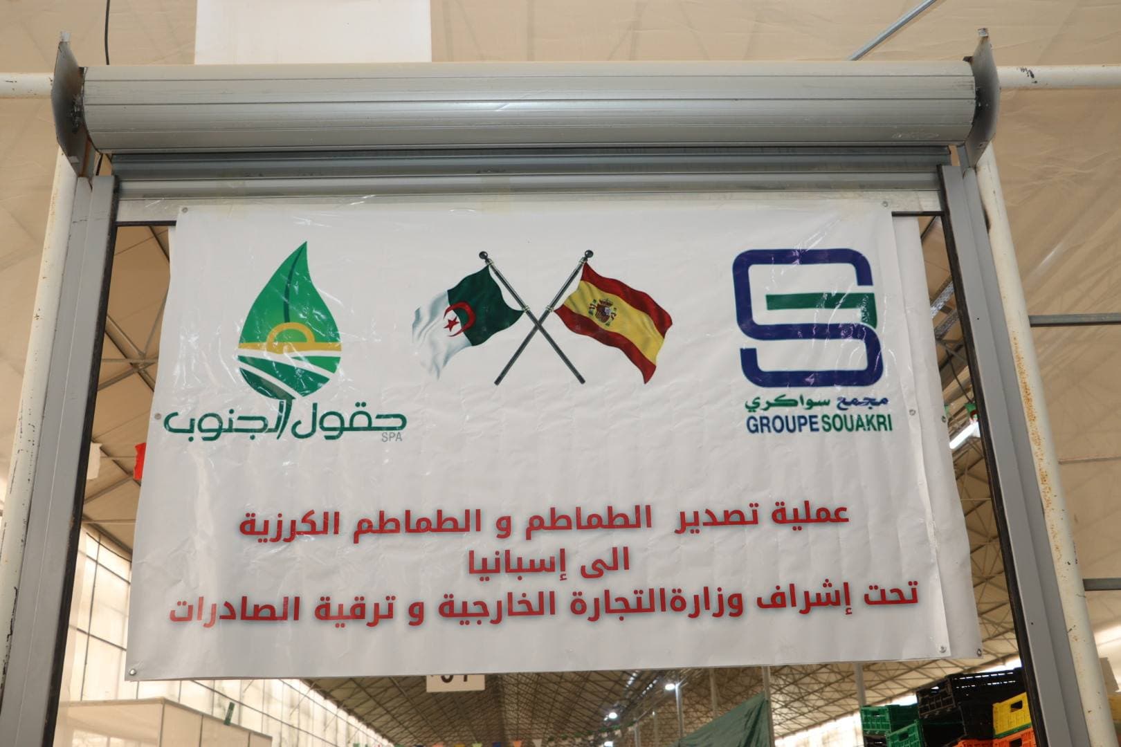 تصدير 80 طنا من منتوج الطماطم نحو إسبانيا