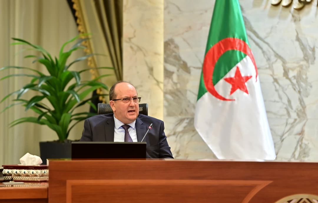 سيفي غريب يبرز من القاهرة التعاون النموذجي والشراكات الناجحة بين الجزائر ومصر