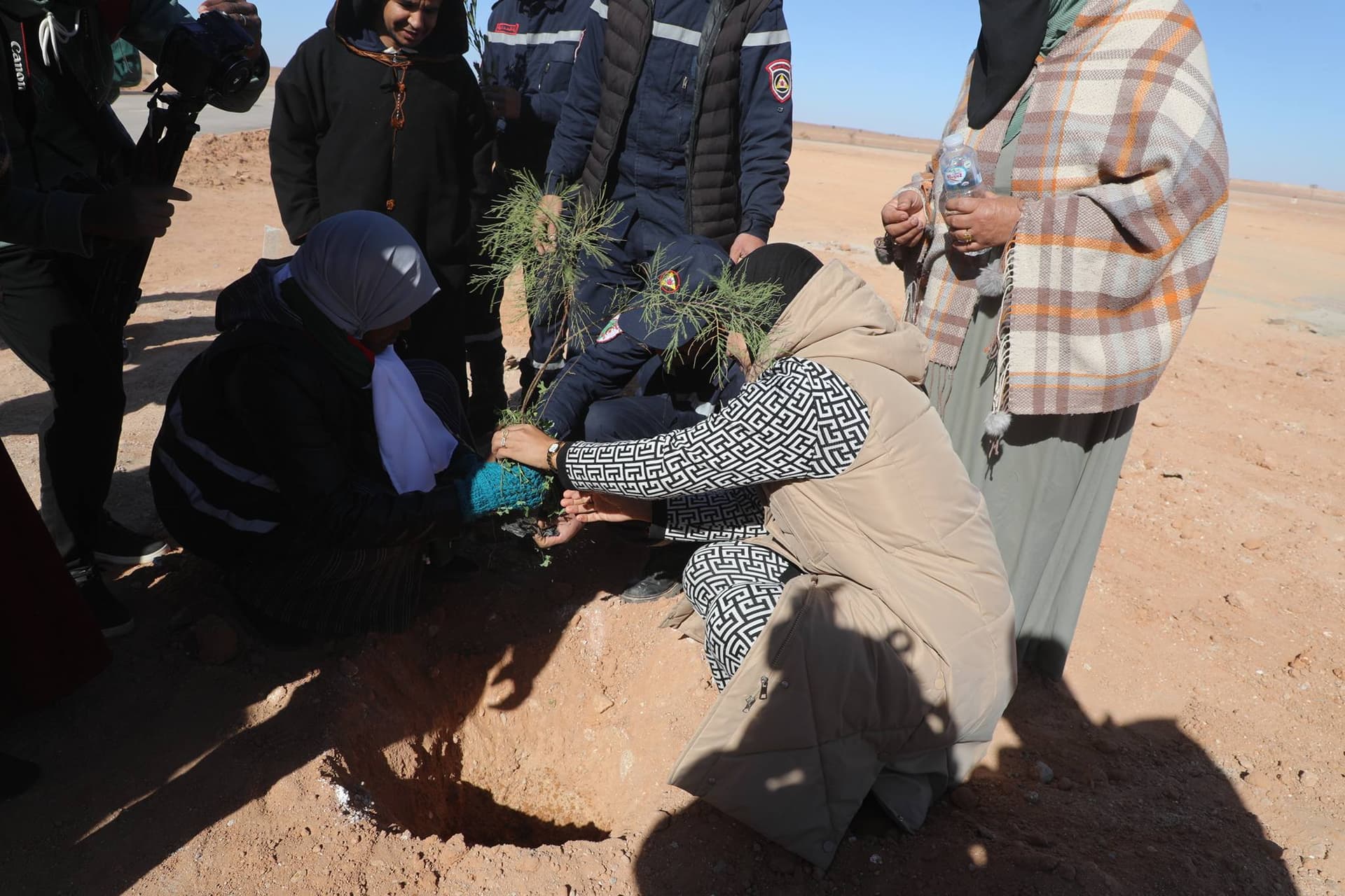 وزارة الشباب تواصل حملة التشجير الكبرى على خط السكة الحديدية بشار- تندوف - غارا جبيلات