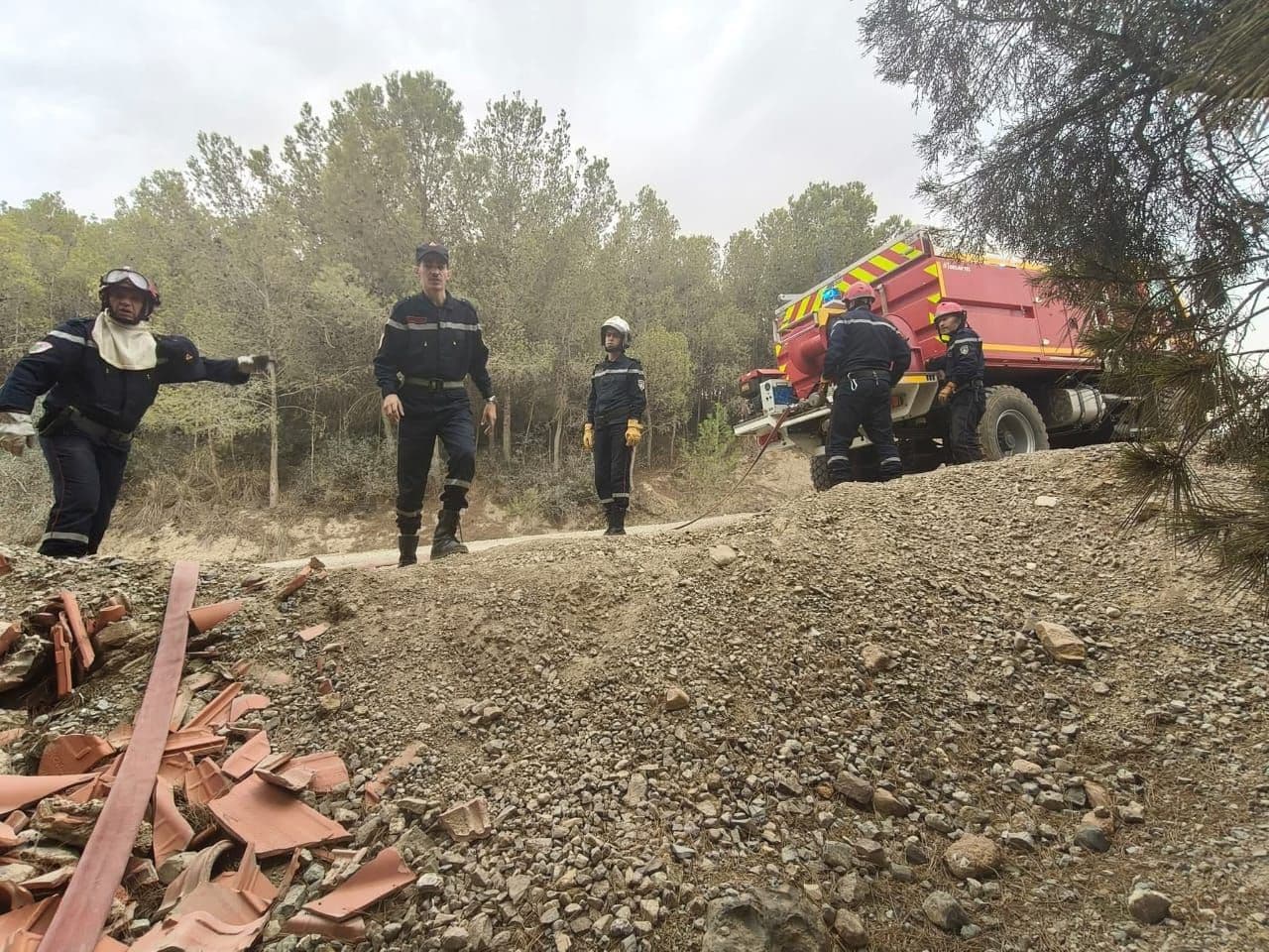 

 

حرائق الغابات بتيبازة: تشكيل لجنة ولائية لتقييم حجم الأضرار