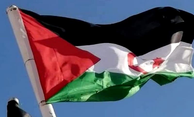 الصحراء الغربية 