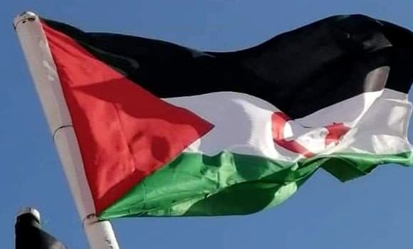 علم الصحراء الغربية