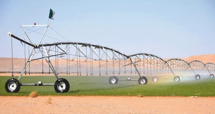 100 ألف مستثمرة فلاحية سيتم ربطها بشبكة الكهرباء بنهاية العام الجاري