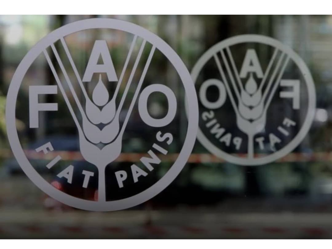   72 ألف عائلة بالضفة الغربية المحتلة بحاجة ماسة لمساعدات طارئة