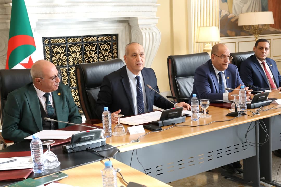  السلطة المستقلة للانتخابات تعد تصورا استباقيا للهيئة الناخبة بالولايات المستحدثة