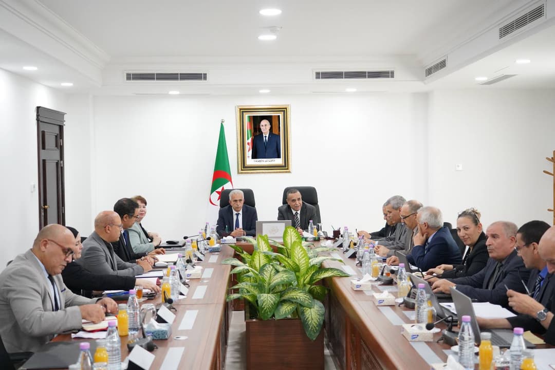 مشاريع ربط المواقع المنجمية بالكهرباء والغاز محور اجتماع تنسيقي بين قطاع 
