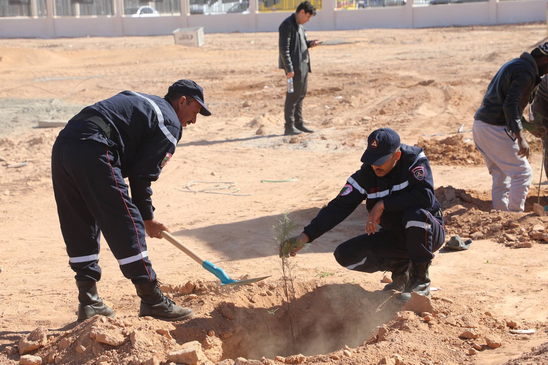 وزارة الشباب تواصل حملة التشجير الكبرى على خط السكة الحديدية بشار- تندوف - غارا جبيلات
