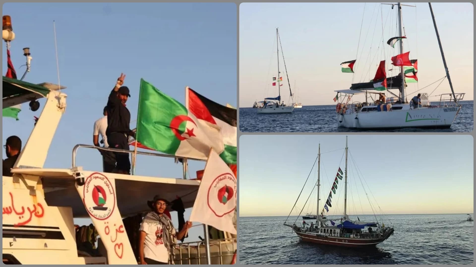 "أسطول الصمود"