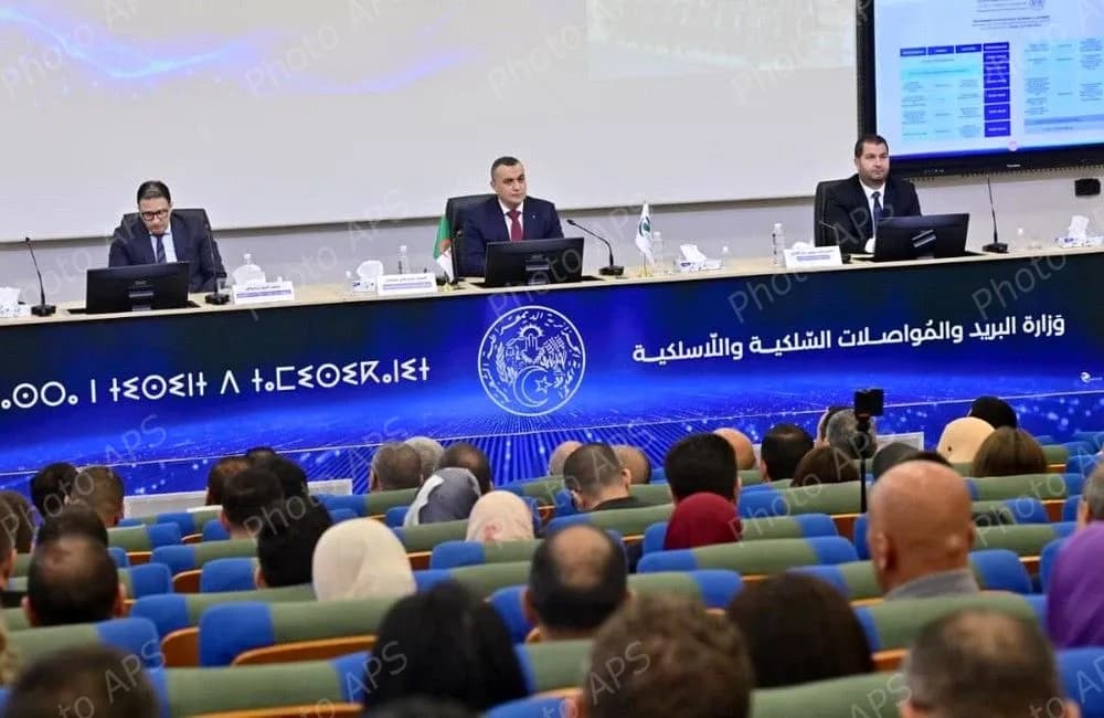 زروقي يعلن عن إطلاق البرنامج الوطني للتمكين الرقمي