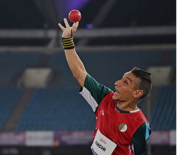 محمد نجيب عمشي