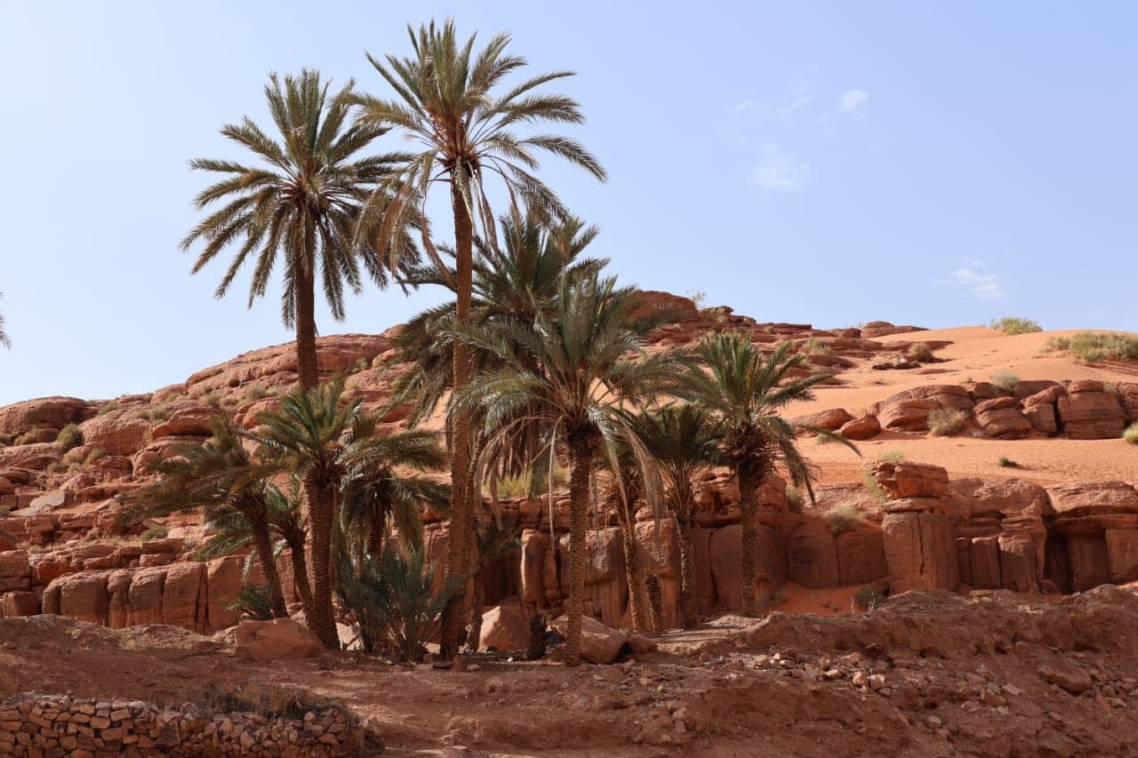 السيد سعيود يؤكد من النعامة على أهمية المتابعة الصارمة لاستكمال برامج التحسين الحضري في آجالها