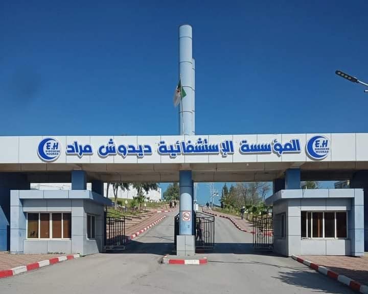 الذكاء الاصطناعي, من نظرية علمية إلى رفيق للطبيب في معركة علاج السرطان