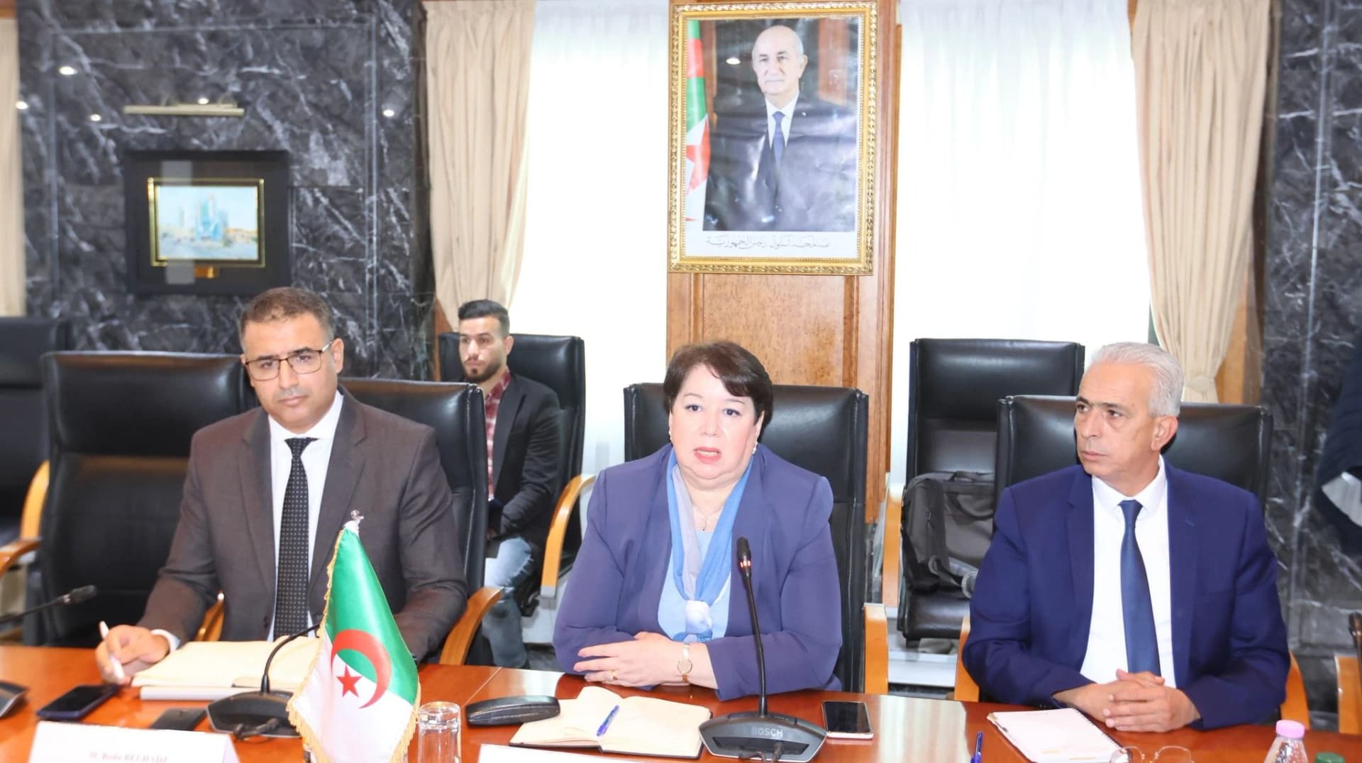 الجزائر التشاد