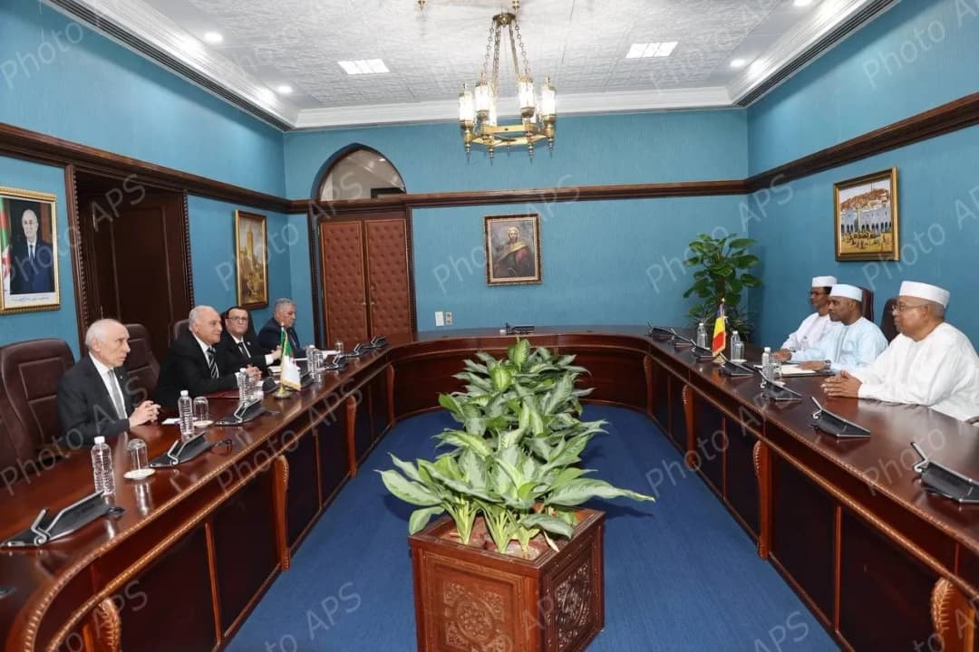 محادثات ثنائية بين أعضاء الوفدين الجزائري والتشادي 