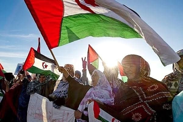 الصحراء الغربية 