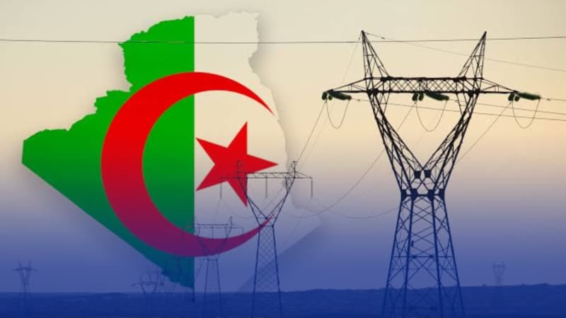 اللجنة الإفريقية للطاقة تبرز قدرة الجزائر على المساهمة في الأمن الطاقوي للقارة