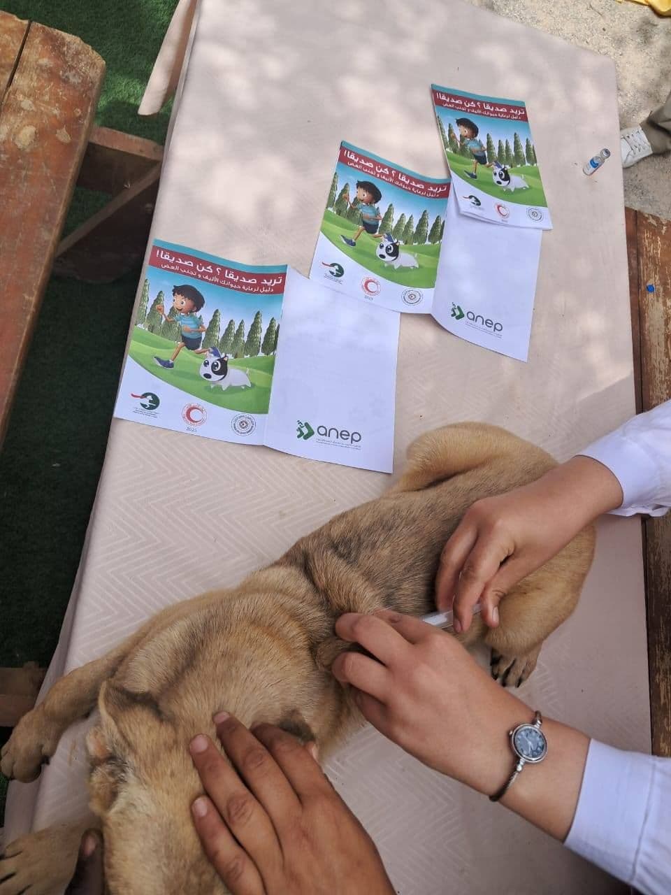 المرصد الوطني للمجتمع المدني