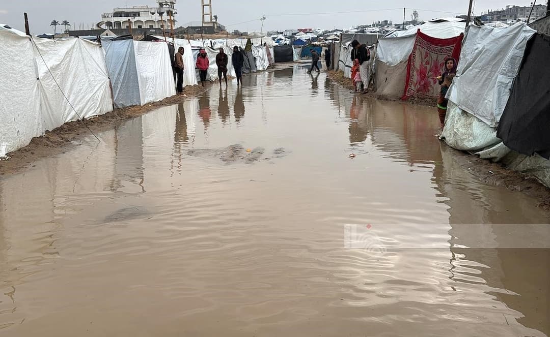 النازحون في غزة 