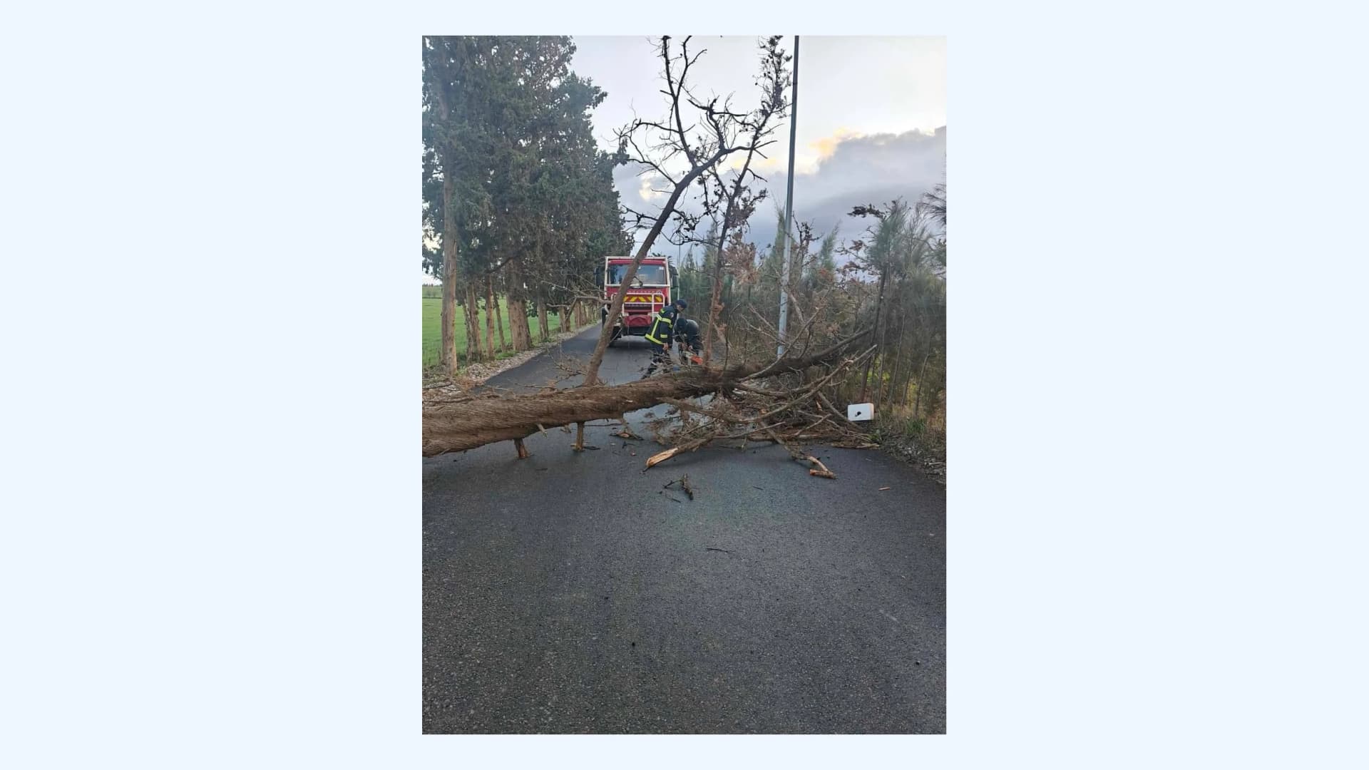 الحماية المدنية