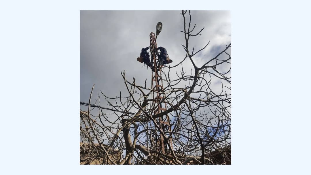 سونلغاز تيبازة