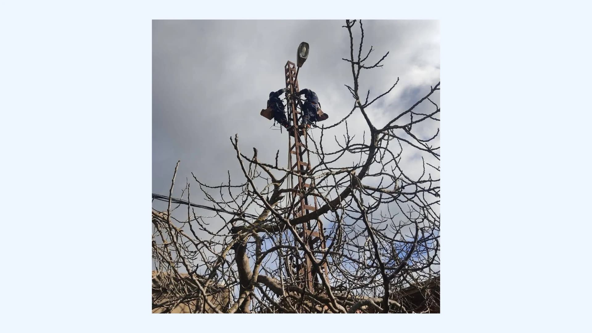 سونلغاز تيبازة