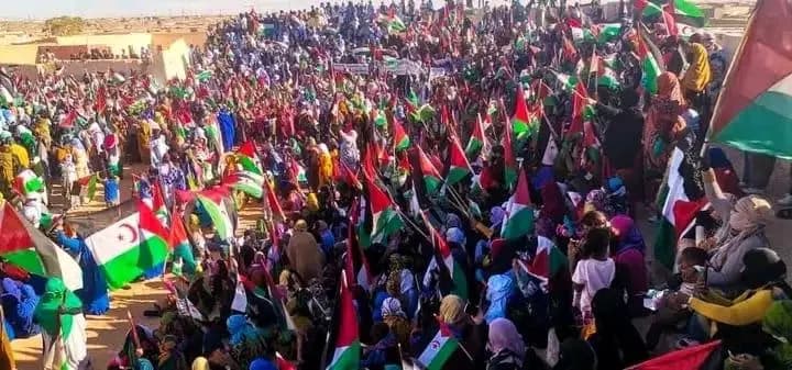 الصحراء الغربية