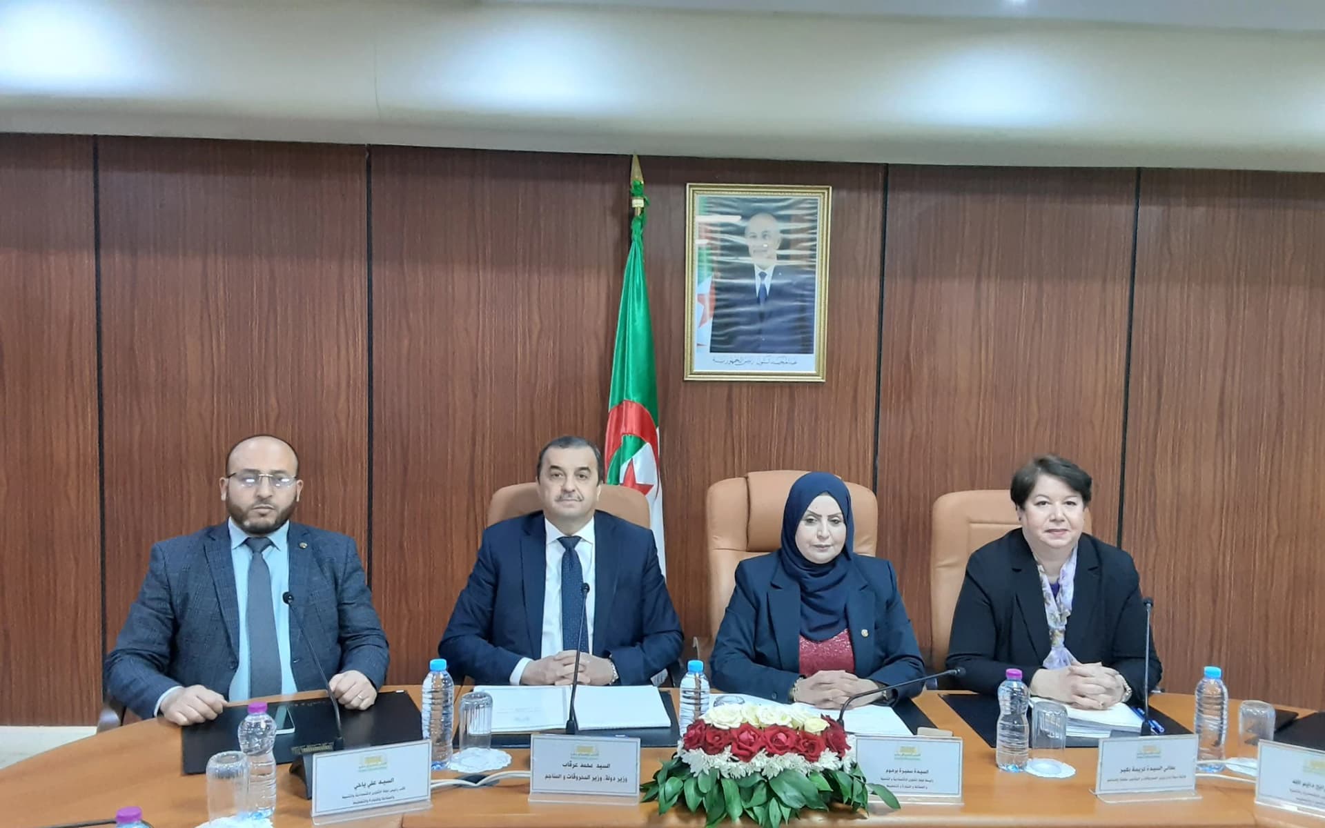 العمل على تعزيز شراكات دولية لجلب رؤوس الأموال والتكنولوجيا الحديثة 