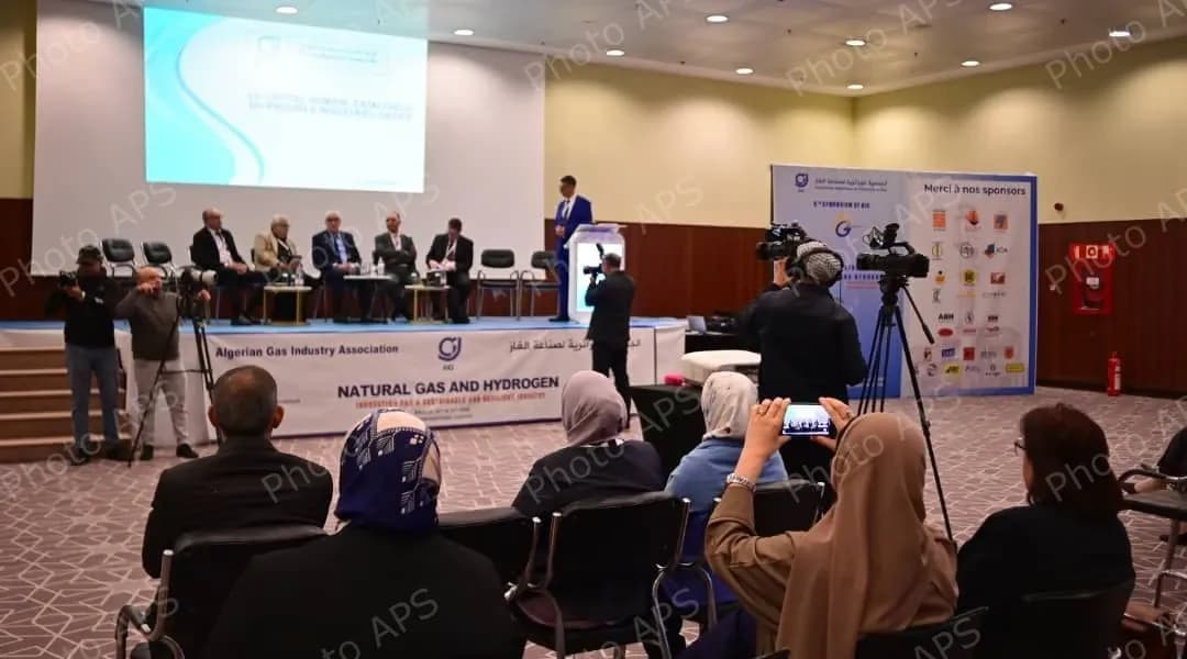 ضرورة تعزيز مكانة الغاز الطبيعي كعنصر أساسي في تحقيق الأمن الطاقوي