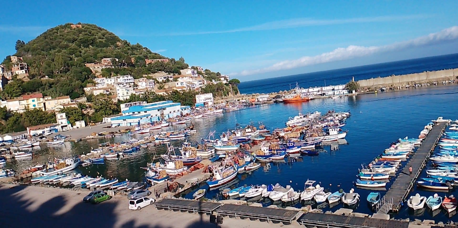 اهتمام متزايد للمتعاملين بالاستثمار في موانئ النزهة