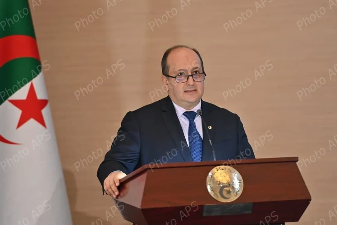 الوزير الأول يدعو إلى تعبئة الجهاز القنصلي ليتحول إلى رافد تنموي