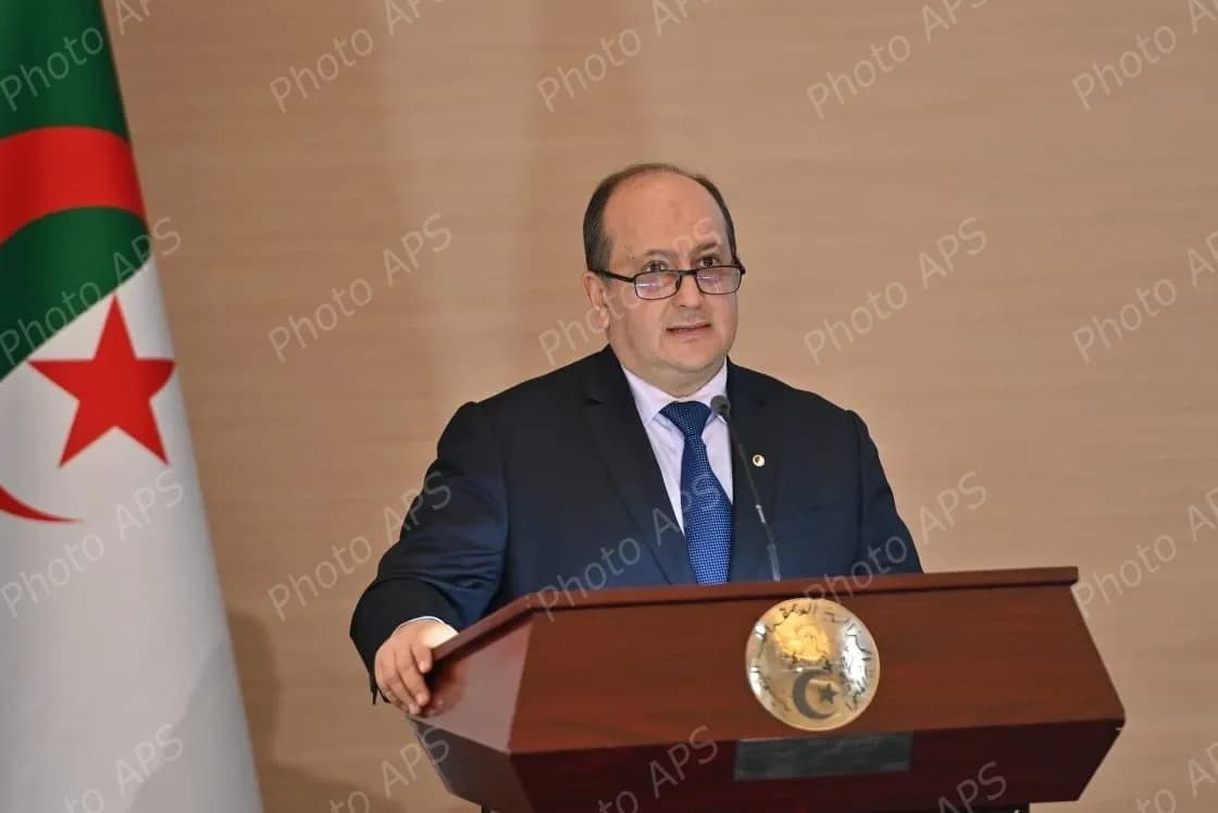 الوزير الأول يدعو إلى تعبئة الجهاز القنصلي ليتحول إلى رافد تنموي