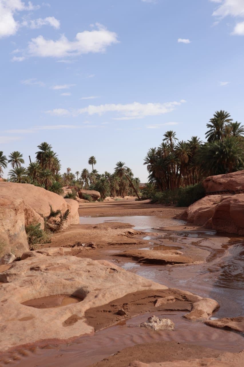 السيد سعيود يؤكد من النعامة على أهمية المتابعة الصارمة لاستكمال برامج التحسين الحضري في آجالها