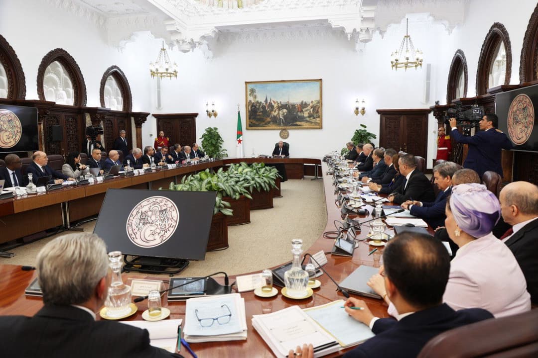 دعم رئيس الجمهورية لانخراط الشباب في مسيرة البناء الوطني يعكس رؤية استراتيجية واضحة