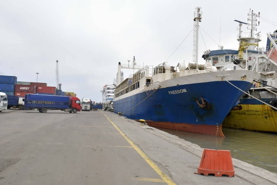 استقبال شحنة معتبرة من الأغنام المستوردة تحسبا لعيد الأضحى