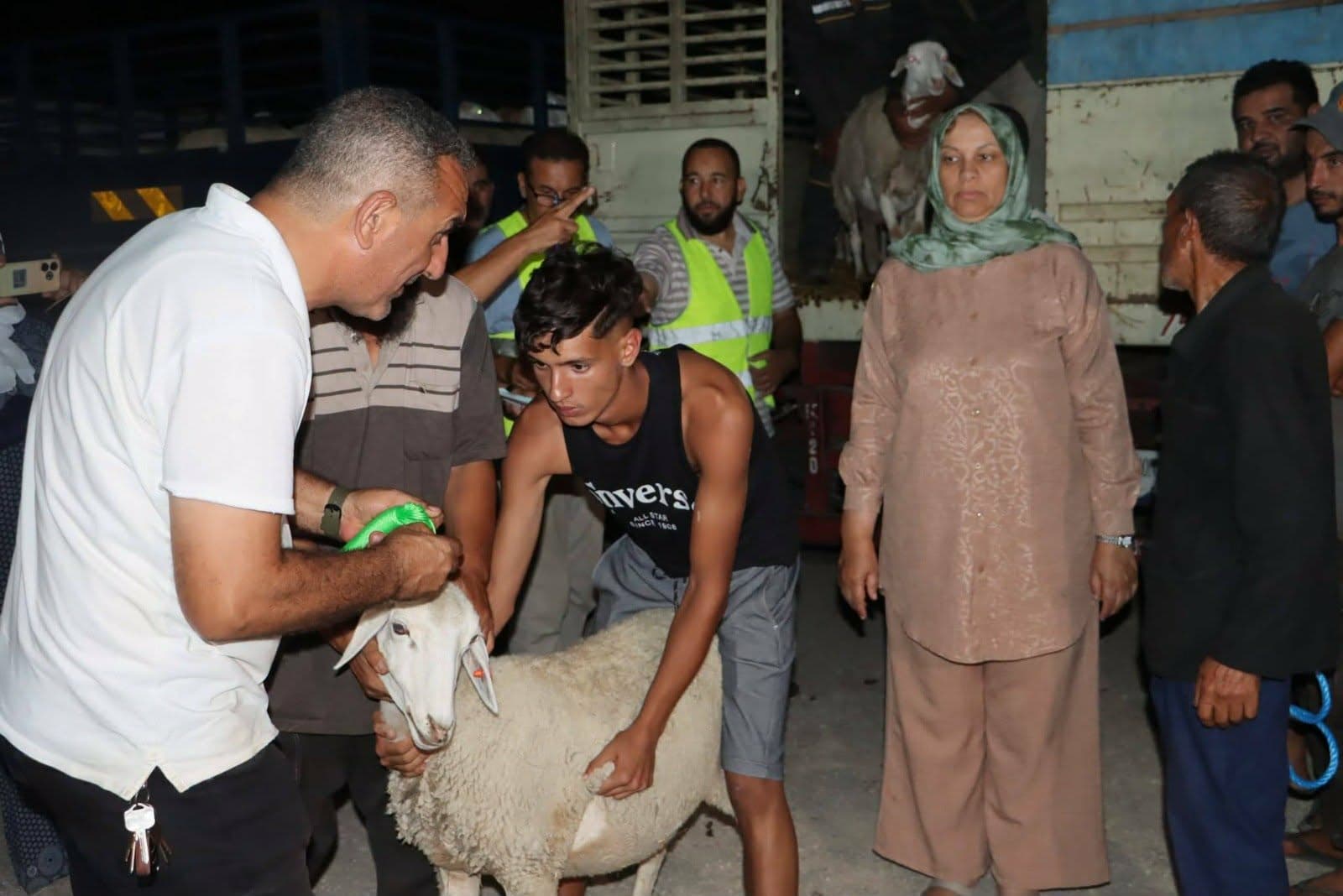 الشروع في تعويض مربي المواشي المتضررين من الحرائق