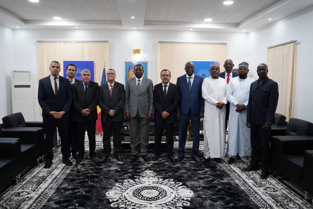 الوزير الأول التشادي يستقبل وفد "سونلغاز" لبحث إطلاق مشروع محطة كهرباء بقدرة 40 ميغاواط