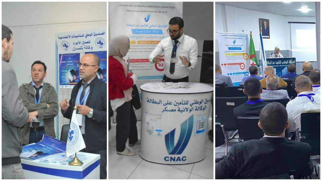 الصندوق الوطني للتأمين عن البطالة وكالة النعامة