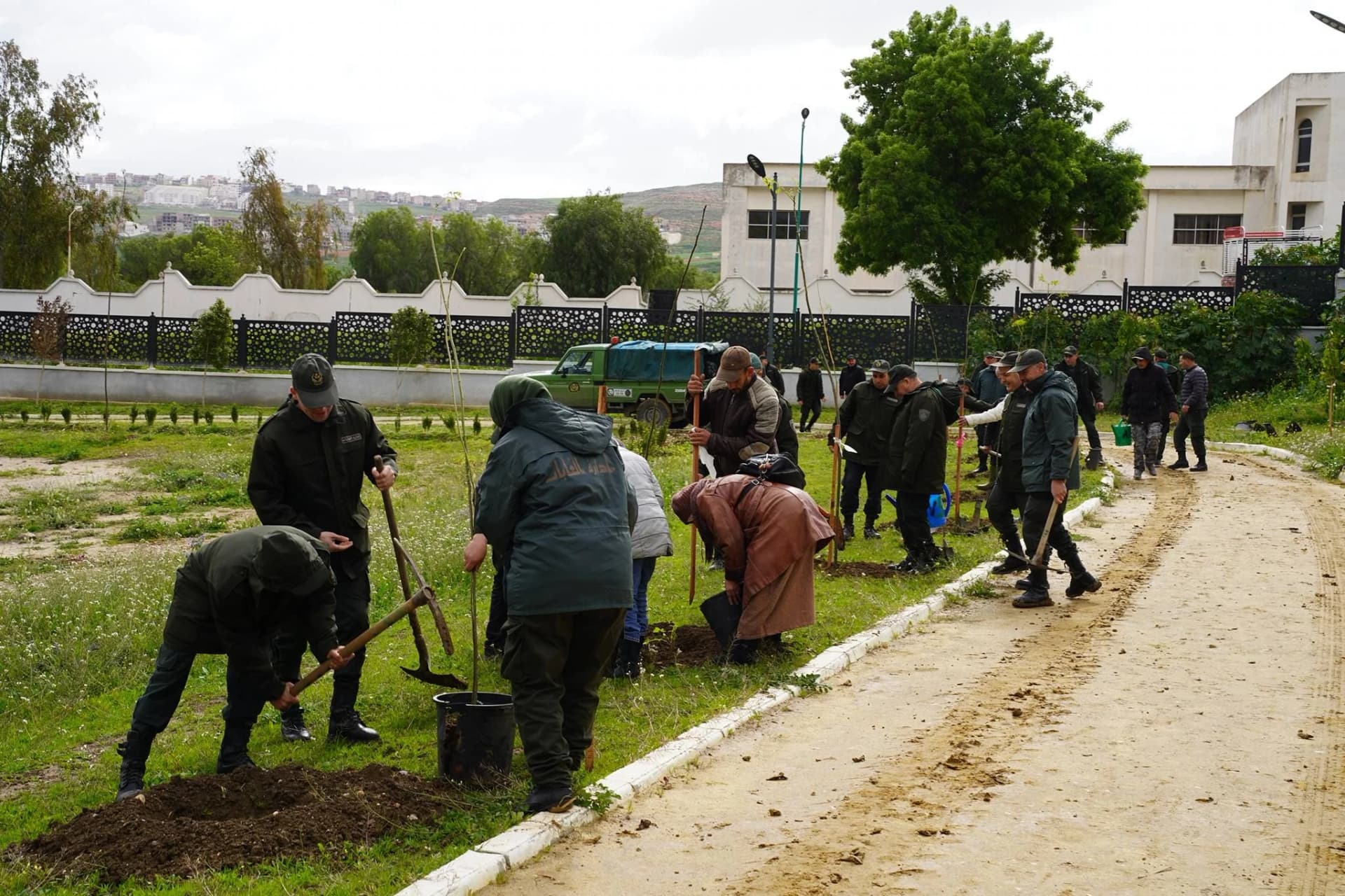 قسنطينة: غرس 400 شجيرة تزيينية بالمركب الرياضي الترفيهي بحي بوالصوف